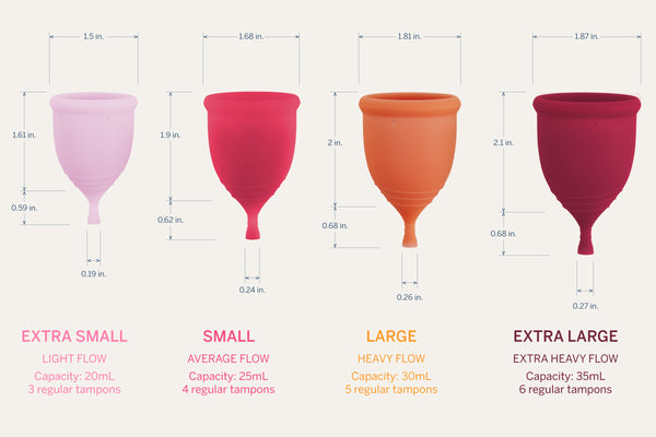 Load image into Gallery viewer, XS Period Cup