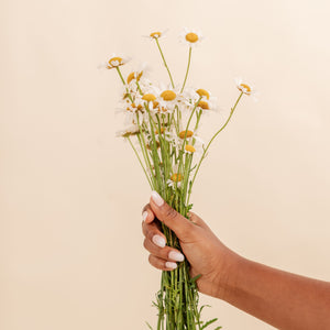 Individual Wipes - Chamomile Couture